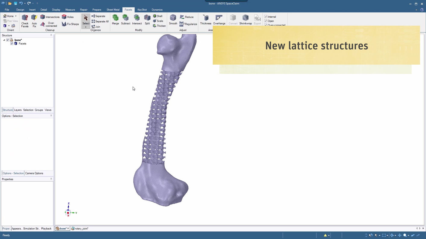 Ansys SpaceClaim 3D printing Lattice Structure